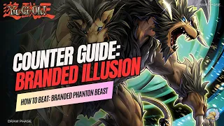 How to Beat Branded Chimera [Illusionist] | Yu-Gi-Oh Master Duel Counter Guide