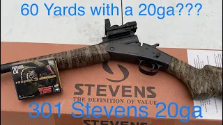 Turkey shotgun build! Federal TSS! Is it worth it? |Stevens 301 20ga.|