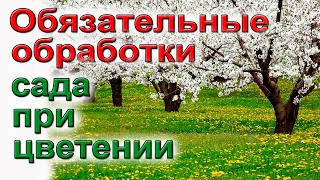 Основная обработка сада при цветении. От пустоцвета.