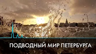 Глубина погружения. Петербург из-под воды