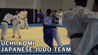 JAPANESE JUDO TEAM _  UCHI KOMI _ 일본유도국가대표 익히기 부딪치기 柔道