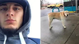 Man Trying To Help Dog Wandering Alone Freezes After Looking At His Tags