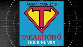 Animal Cannibals - Takarítónő (Triek remix)