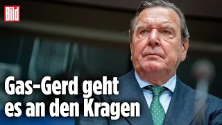 Bundestag entzieht Altkanzler Schröder Teil seiner Sonderrechte