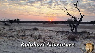 Kalahari Adventure - Kgalagadi September 2023