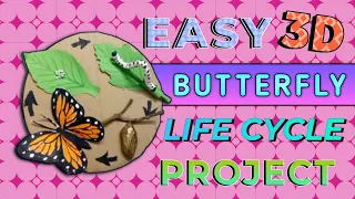 How to make Butterfly Life Cycle Model| 3D Butterfly Life Cycle Model