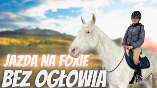 JEŻDŻĘ NA FOXIE I ARONIE BEZ OGŁOWIA 💗 FOX MNIE UGRYZŁ?