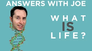 What Is Life? A Surprisingly Complex Question | Answers With Joe