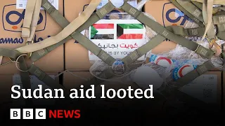 Sudan: Millions of dollars worth of food aid looted, The World Food Programme says - BBC News