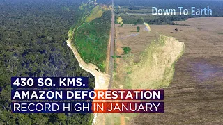 Amazon deforestation totaled 430 sq kms in January 2022 | Record high in January