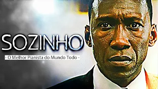 Dr. Shirley | É Um Mundo Complicado 😥 (Green Book: O Guia)