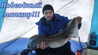 #Туруханск #Рыбалка #Бонус  КРУПНЯК ПОШЁЛ! Такой рыбалки вы точно не видели.