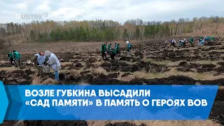 Возле Губкина высадили «Сад памяти» в память о героях ВОВ