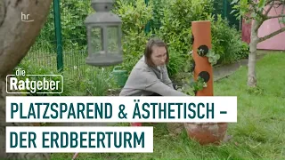 DIY-Projekt für den Garten | Kleiner Schrebergarten - große Freiheit (2/5) | die Ratgeber