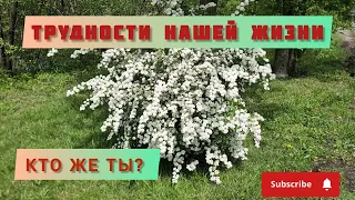 Когда несчастье стучится в твою дверь, как ты реагируешь? Кто же ты?