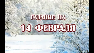 Гадание на 14 февраля 2022 года. Карта дня. Таро Зеленой Ведьмы.