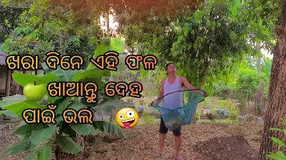 ଖରା ଦିନେ କଣ ଖାଇବା ଉଚିତ | summer season food | #vlogwithme /#summerfood / summer