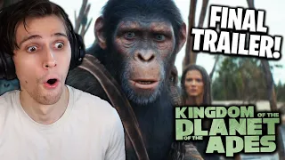 Kingdom of the Planet of the Apes (2024) - Final Trailer REACTION!!!