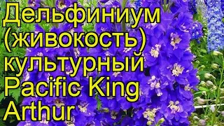 Дельфиниум культурный Пасифик кинг Артур. Краткий обзор delphinium cultorum Pacific King Arthur