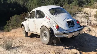 VW BEETLE OFF ROAD 2018 2019