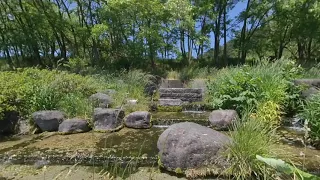 [VR180 3D] 10 min static japanese nature scenes 006 [Insta360 EVO 5.7K]