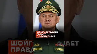 Шойгу скрывает правду о своём сыне