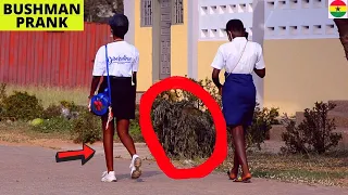 😂😂😂She Dropped Her School Bag! Hilarious Bushman Prank! Laugh Hard! #55