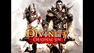 Divinity: Original Sin, Antes y después de Kickstarter