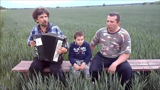 "ПРЕКРАСНОЕ ДАЛЁКО" песня под баян /"Beautiful Future" song under the accordion