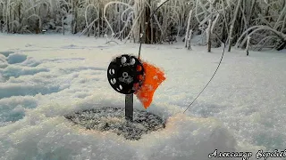 Щедрый ПЕРВЫЙ ЛЁД НА РЕКЕ.Ловля Щуки на Жерлицы в Камышах.