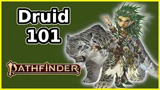DRUID CLASS GUIDE - PATHFINDER SECOND EDITION