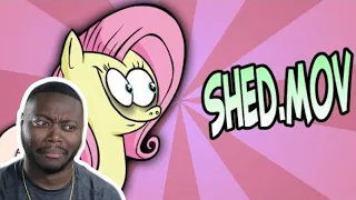 SHED.MOV Reaction | @hotdiggedydemon