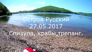 Крабики, трепанг, добыча спизулы.