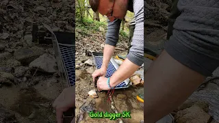 Gold found in the sluice: See how we did it