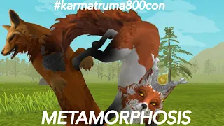 METAMORPHOSIS|wildcraft meme|#karmatrauma800con/read desc