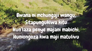 Bwana ni Mchungaji Wangu | Piano Instrumental with Lyrics