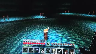 Water Temple Drained on survival hard