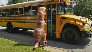 T-Rex Dinosaur meets Bus