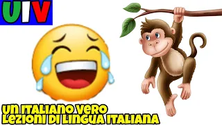 Fare una battuta, prendere in giro, scimmiottare 🐒| UIV Un Italiano Vero -Lezioni di lingua italiana