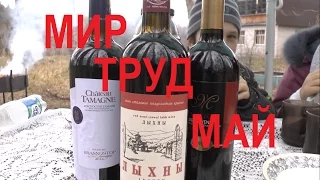 Мир. Труд. Май. Выезд на шашлыки. VLOG