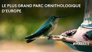 Le plus grand parc ornithologique d'Europe