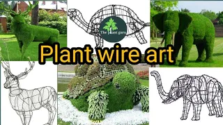 Plant wire art | पौधों को आकार कैसे दे |box topiary animal art | new idia |