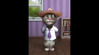 New talking tom zadi songs best funny video free download | best funny video 217