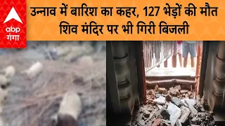 Unnao Rain: बिजली गिरने से 127 भेड़ों की मौत, तो 200 साल पुराने शिव मंदिर को भी भारी नुकसान