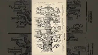 Genetics | Wikipedia audio article