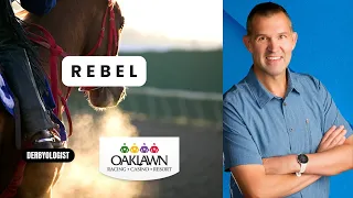 Rebel Stakes 2023 Preview Oaklawn Park