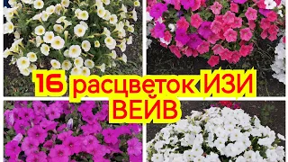 16 расцветок ИЗИ ВЕЙВ, плюсы и минусы. Подробный обзор каждой расцветки, какую выбрать? август 2023