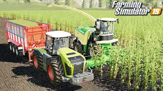 Rekordowe koszenie kukurydzy - Farming Simulator 19 | #136