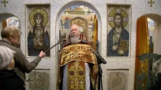 Протоиерей Димитрий Смирнов. Проповедь о чудесах новомучеников Церкви Русской