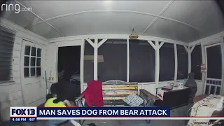 Caught on camera: Florida man saves his dogs from bear attack | FOX 13 Seattle